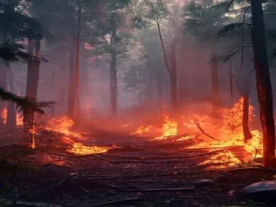 AI sensor forest fire detection — Forests Ablaze: How AI is Becoming Our Last Line of Defense Against Devastating Wildfires